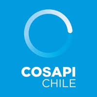 COSAPI
